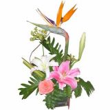 ӳʻٵ